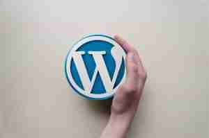 Imagem representando SEO para WordPress